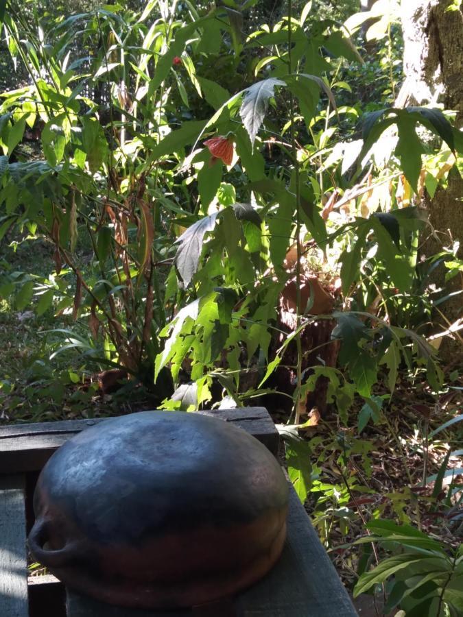 Appartamento Jardin De Naipi 2 Puerto Iguazú Esterno foto