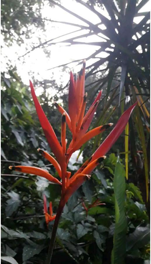 Appartamento Jardin De Naipi 2 Puerto Iguazú Esterno foto