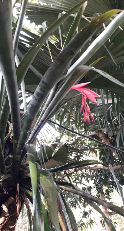Appartamento Jardin De Naipi 2 Puerto Iguazú Esterno foto