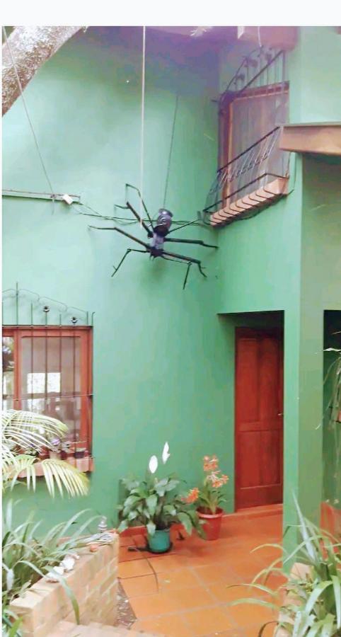 Appartamento Jardin De Naipi 2 Puerto Iguazú Esterno foto
