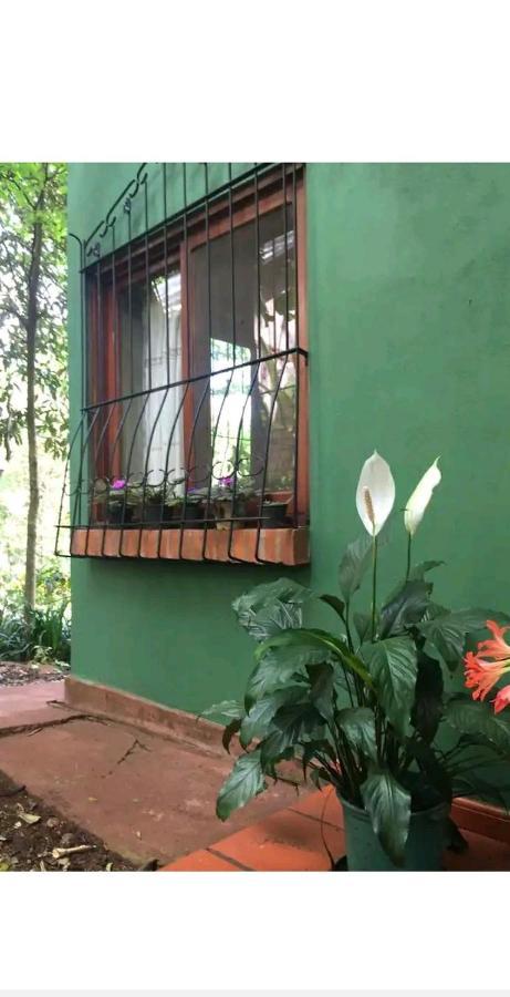 Appartamento Jardin De Naipi 2 Puerto Iguazú Esterno foto